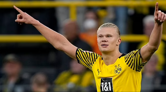 活动亮点与 活动亮点与